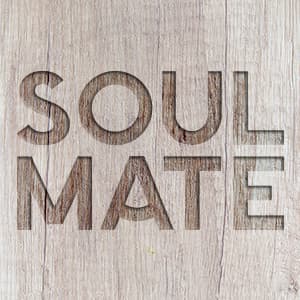 Soul Mate - provate il tè yerba mate 100% biologico senza aromi!