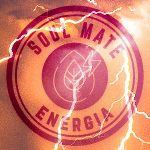 Soul Mate Energia: il tè alla yerba mate più forte con certificato biologico