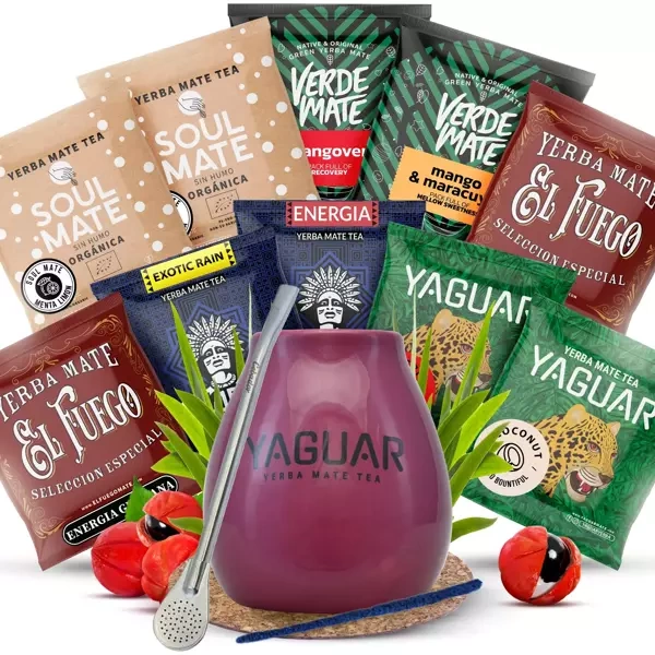 Yerba Mate starter kit calabash Bombilla 10x50g