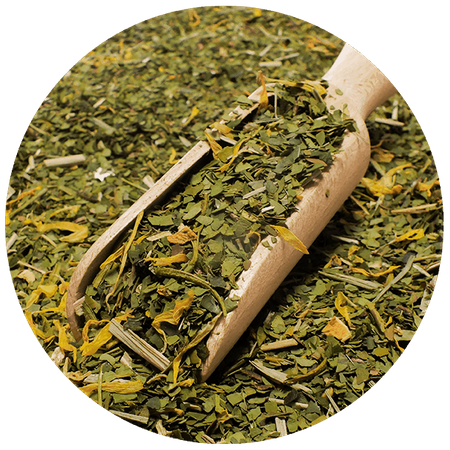 Trio Yerba Verde Mate su START per principianti