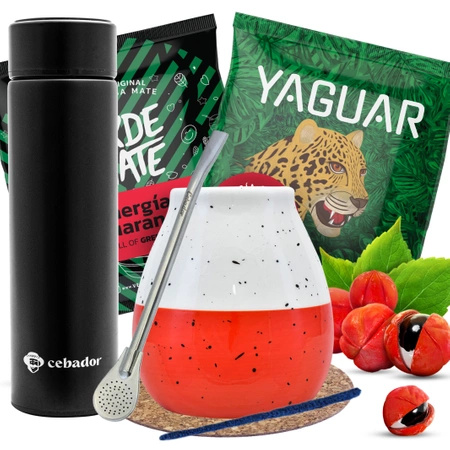 Set iniziale di Yerba Mate Thermos Tazza di mate 2x50g